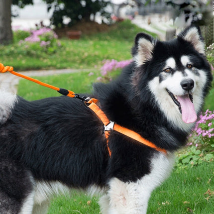 Pet Dog Collar + Harness + Leash Three Sets, M, Harness Chest Size: 43-67cm, Collar Neck Size: 33-52cm, Pet Weight: 15kg Below (Orange)-garmade.com
