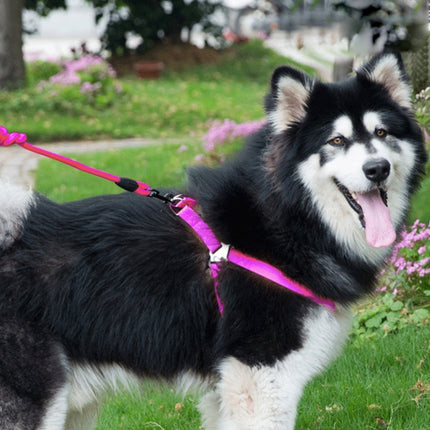 Pet Dog Collar + Harness + Leash Three Sets, L, Harness Chest Size: 57-90cm, Collar Neck Size: 40-64cm, Pet Weight: 35kg Below (Magenta)-garmade.com