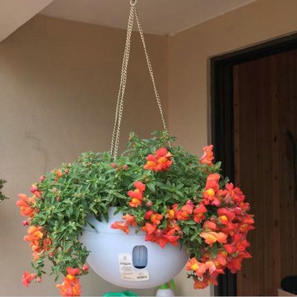 Hanging Plastic Flower Pots Hanging Pots Flower Pot With Hanging Chain,Small Size:20*13.6cm ,Random Color Delivery-garmade.com