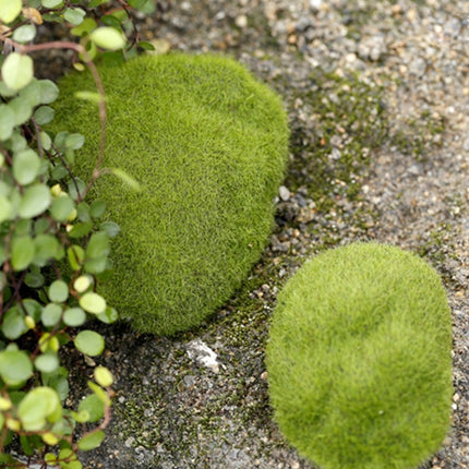 Simulation of False Moss Simulation of Bryophyte Stone Moss Flocking False Lawn Micro Landscape Decoration Accessories,Diameter:10cm-garmade.com