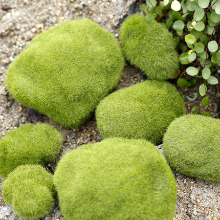 Simulation of False Moss Simulation of Bryophyte Stone Moss Flocking False Lawn Micro Landscape Decoration Accessories,Diameter:10cm-garmade.com