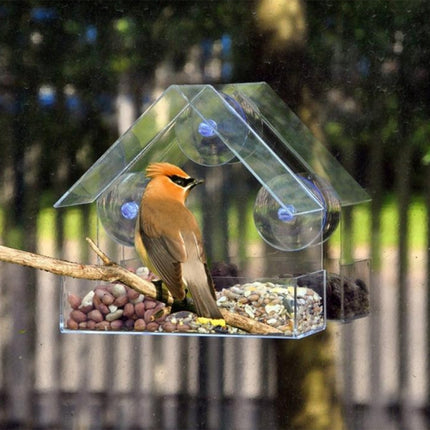 Creative Plastic Transparent Adsorption House Type Bird Feeder-garmade.com