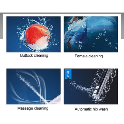 Universal Bathroom Automatic Flushing Drying Massage Intelligent Toilet Cleaner Cover-garmade.com