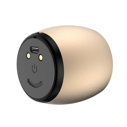 SARDiNE F1 Aluminium Alloy Stereo Wireless Bluetooth Speaker with Charging Dock, Support Hands-free(Gold)-garmade.com