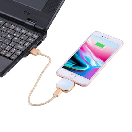 RQW-18S 8 Pin 16GB Multi-functional Flash Disk Drive with USB / Micro USB to Micro USB Cable(Gold)-garmade.com