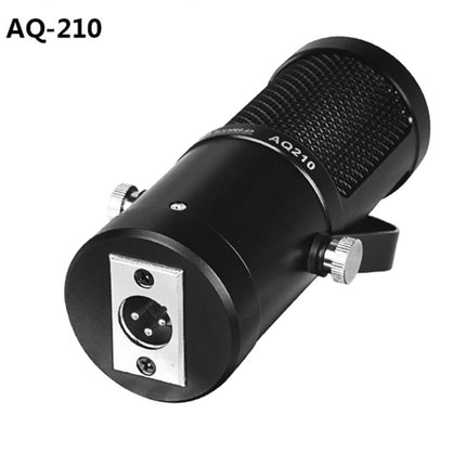AQ-210 K Song Live Recording Capacitor Microphone-garmade.com