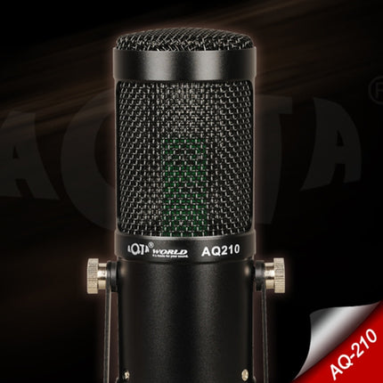 AQ-210 K Song Live Recording Capacitor Microphone-garmade.com