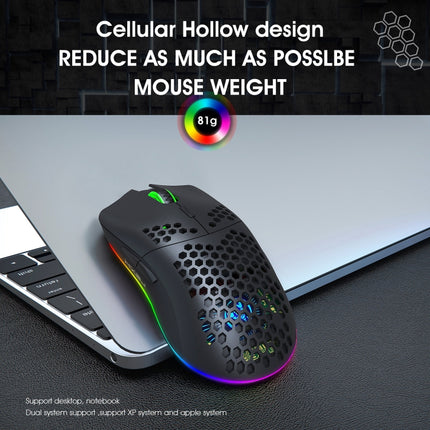 HXSJ T66 7 Keys Colorful Lighting Programmable Gaming Wireless Mouse (Black)-garmade.com