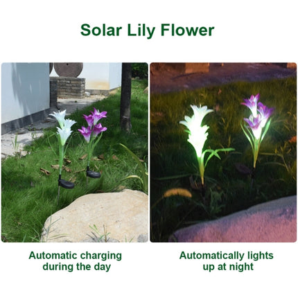 Simulated Lily Flower 4 Heads Solar Powered Outdoor IP55 Waterproof LED Decorative Lawn Lamp, White Light (Purple)-garmade.com