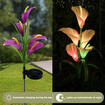 3PCS Simulated Calla Lily Flower 5 Heads Solar Powered Outdoor IP65 Waterproof LED Decorative Lawn Lamp, Colorful Light(Purple)-garmade.com