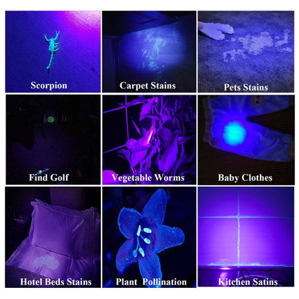 100 LED UV Flashlight Scorpion Detector Fluorescence Detector-garmade.com