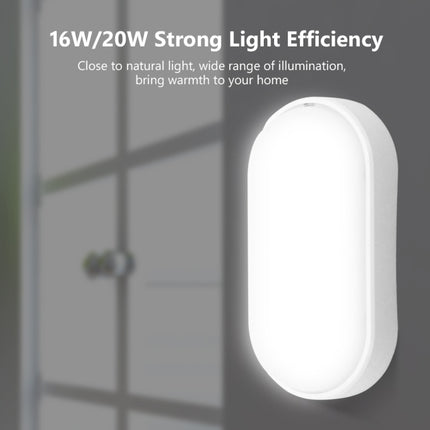 Oval 20W 85-265V 2400LM LED Moisture-proof Lamp LED Wall Light (White)-garmade.com
