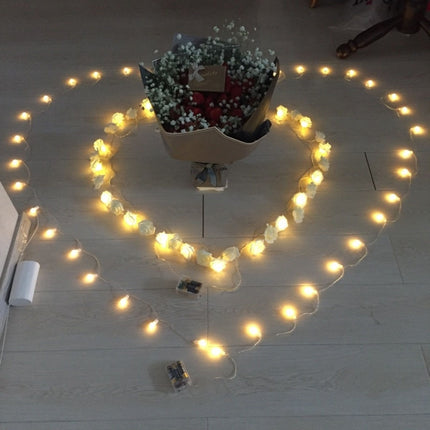 3m Rose Shape USB Plug Romantic LED String Holiday Light, 20 LEDs Teenage Style Warm Fairy Decorative Lamp for Christmas, Wedding, Bedroom(Warm White)-garmade.com