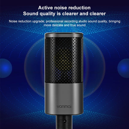 Yanmai X2 Active Noise Reduction Cardioid Pointing Capacitive Recording Microphone Set with Blowout Net & Cantilever Bracket & 1.7m 3.5mm Interface Cable-garmade.com