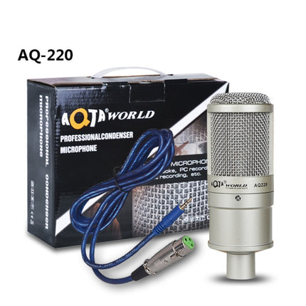 AQ-220 K Song Live Recording Noise Reduction Capacitor Microphone-garmade.com