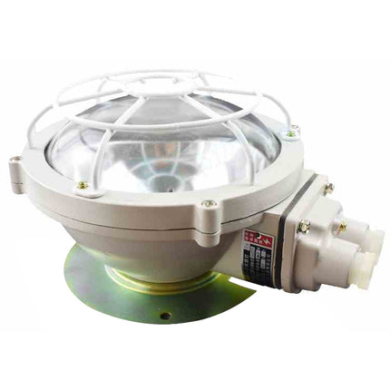 BXL 220V Explosion-proof Annular Ceiling Lamp Fluorescent Lamp-garmade.com