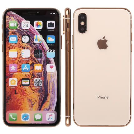 For iPhone XS Color Screen Non-Working Fake Dummy Display Model (Gold)-garmade.com