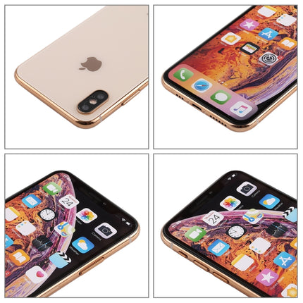 For iPhone XS Color Screen Non-Working Fake Dummy Display Model (Gold)-garmade.com