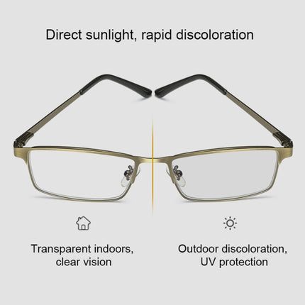 Dual-purpose Photochromic Presbyopic Glasses, +3.50D(Gold)-garmade.com