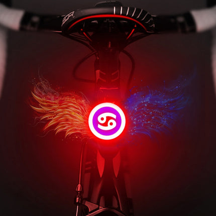 USB Charging Red Blue Color Riding Light Rear Lamp Safety Warning Light (Cancer Style)-garmade.com