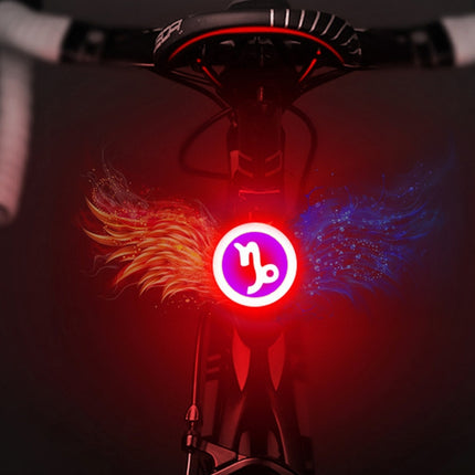USB Charging Red Blue Color Riding Light Rear Lamp Safety Warning Light (Capricorn Style)-garmade.com