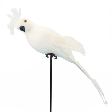 25cm Simulation Parrot Simulation Macaw Horticultural Decoration (White)-garmade.com