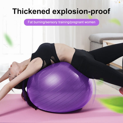 Thickening Explosion-proof Big Yoga Ball Sport Fitness Ball Environmental Pregnant Yoga Ball, Diameter: 65cm(Purple)-garmade.com