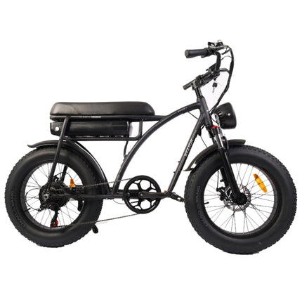 [US Warehouse] BEZIOR XF001 1000W 48V 12.5AH Retro Electric Bicycle with LCD Digital Display & 20 inch Tires, US Plug(Black)-garmade.com