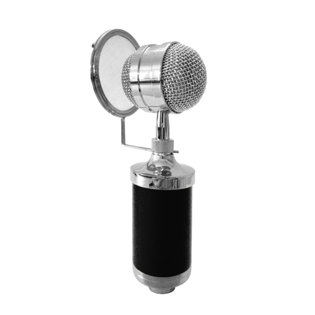3000 Home KTV Mic Condenser Sound Recording Microphone with Shock Mount & Pop Filter for PC & Laptop, 3.5mm Earphone Port, Cable Length: 2.5m(Black)-garmade.com