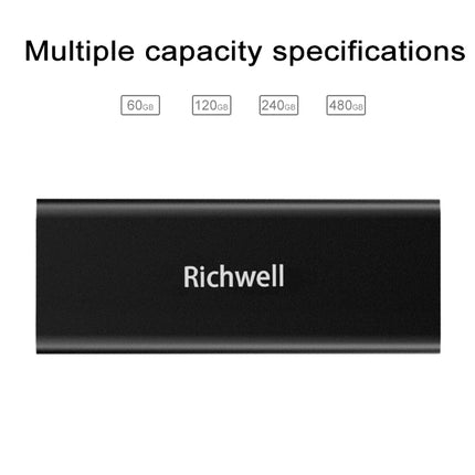 Richwell SSD R280-SSD-60GB 60GB Mobile Hard Disk Drive for Desktop PC(Black)-garmade.com