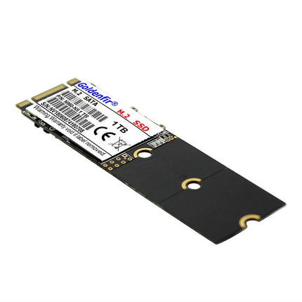 Goldenfir 1.8 inch NGFF Solid State Drive, Flash Architecture: TLC, Capacity: 1TB-garmade.com
