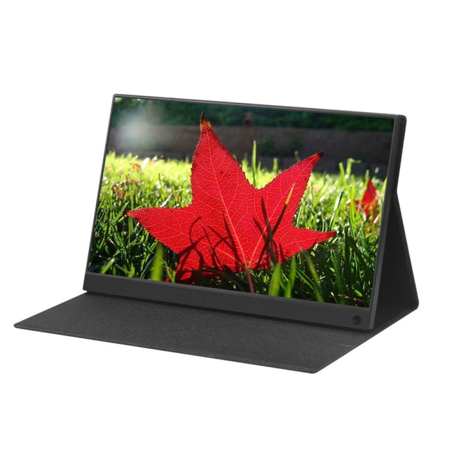 15.6 inch 1080P 178 Degree Wide Angle HD Portable IPS LED Display Monitor-garmade.com