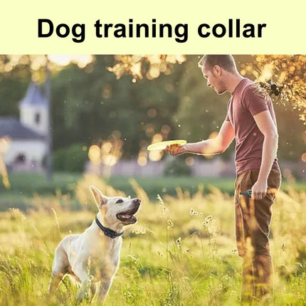 Tsattine T11 Dog Training Device Anti-Bark Waterproof Pet Training Collar, One to One (Black White)-garmade.com