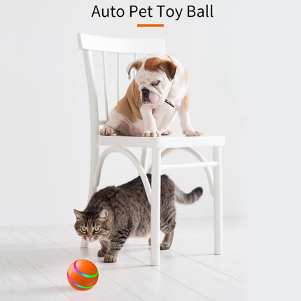 O1 Intelligent Remote Control Pet Toy Dog Training Luminous Ball (Orange)-garmade.com
