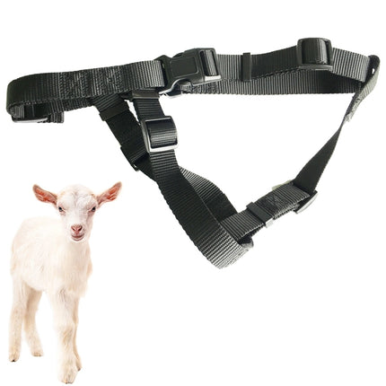 V34/V44Large Sheep & Small Hunting Dog Locator Set Anti-lost Device GPS Positioning Collar Set-garmade.com