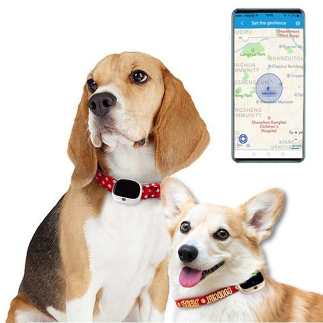RF-V43 B Style IP67 Waterproof GPS + LBS + WiFi Pet Locator Pet Collar Tracking Device For North America/South America(White)-garmade.com