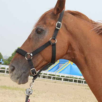 Horse Locator Set Animal Tracking Anti-lost Device GPS Positioning Collar Set-garmade.com