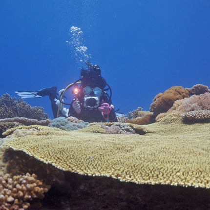PULUZ 40m Underwater Depth Diving Case Waterproof Camera Housing for Sony RX100 III(Transparent)-garmade.com