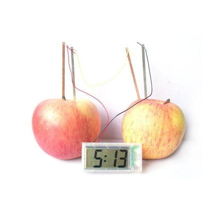 DIY Novel Green Science Potato Digital Clock Educational Kit with 2 inch LCD Screen (Potato NOT Included)(White)-garmade.com