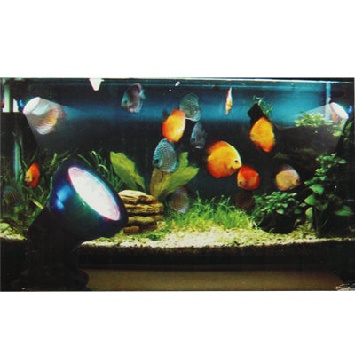 2.3W Waterproof Spotlights, 36 LED Amphibious Fish tank / Aquarium Colorful Light, Waterproof depth: 1-1.5m(Black)-garmade.com
