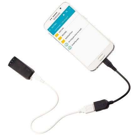 WR-16 Mini Professional 4GB Digital Voice Recorder with Belt Clip, Support WAV Recording Format(Blue)-garmade.com