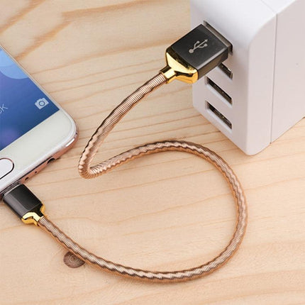 awei CL-26 0.3m 2.4A USB to USB-C / Type-C Metal Fast Charging Cable (Gold)-garmade.com