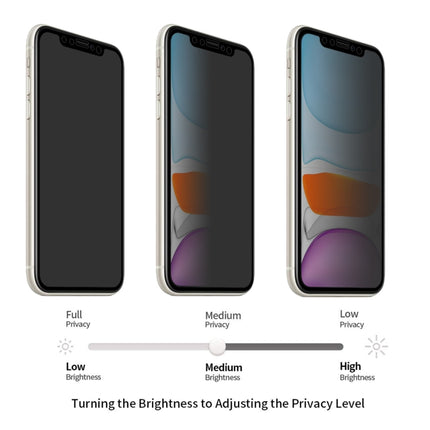 For iPhone 11 / iPhone XR ENKAY Hat-Prince 0.26mm 9H 2.5D Privacy Anti-glare Full Screen Tempered Glass Film-garmade.com