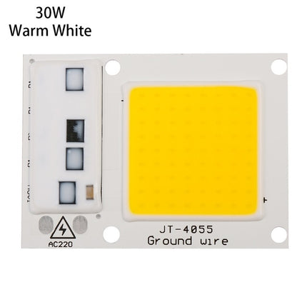 High Power 220V LED FloodlightCool/Warm White COB LED Chip IP65 Smart IC Driver Lamp(30W warm white)-garmade.com