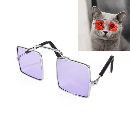 Pet Jewelry Cat Photo Funny Props Personality Glasses(Transparent Purple)-garmade.com