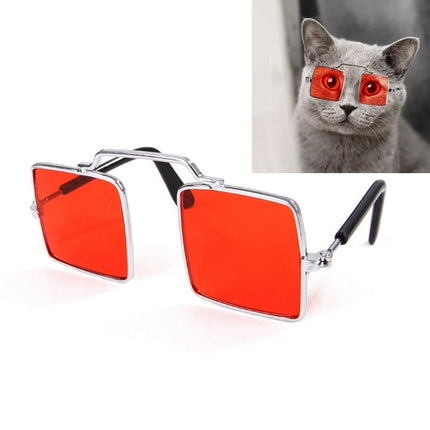 Pet Jewelry Cat Photo Funny Props Personality Glasses(Transparent Red)-garmade.com