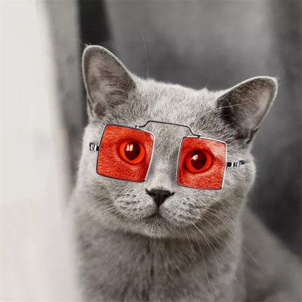 Pet Jewelry Cat Photo Funny Props Personality Glasses(Transparent Red)-garmade.com