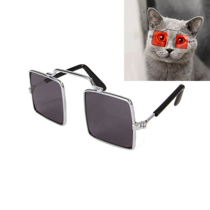 Pet Jewelry Cat Photo Funny Props Personality Glasses(Black)-garmade.com