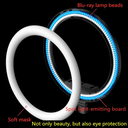 14 inch+Phone Clip Dimmable Color Temperature LED Ring Fill Light Live Broadcast Set With 2.1m Tripod Mount, CN Plug-garmade.com