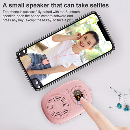 Rolton E200 Mobile Phone Wireless Bluetooth Speaker Mini Portable Outdoor Small Audio Subwoofer Speaker(Black)-garmade.com